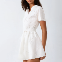 Summer Lapel Beige Embroidered Short-Sleeved Mini Dress - Image 5